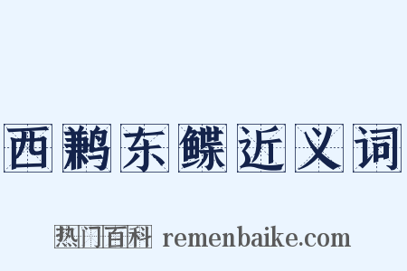 西鹣东鲽近义词是什么意思的图片